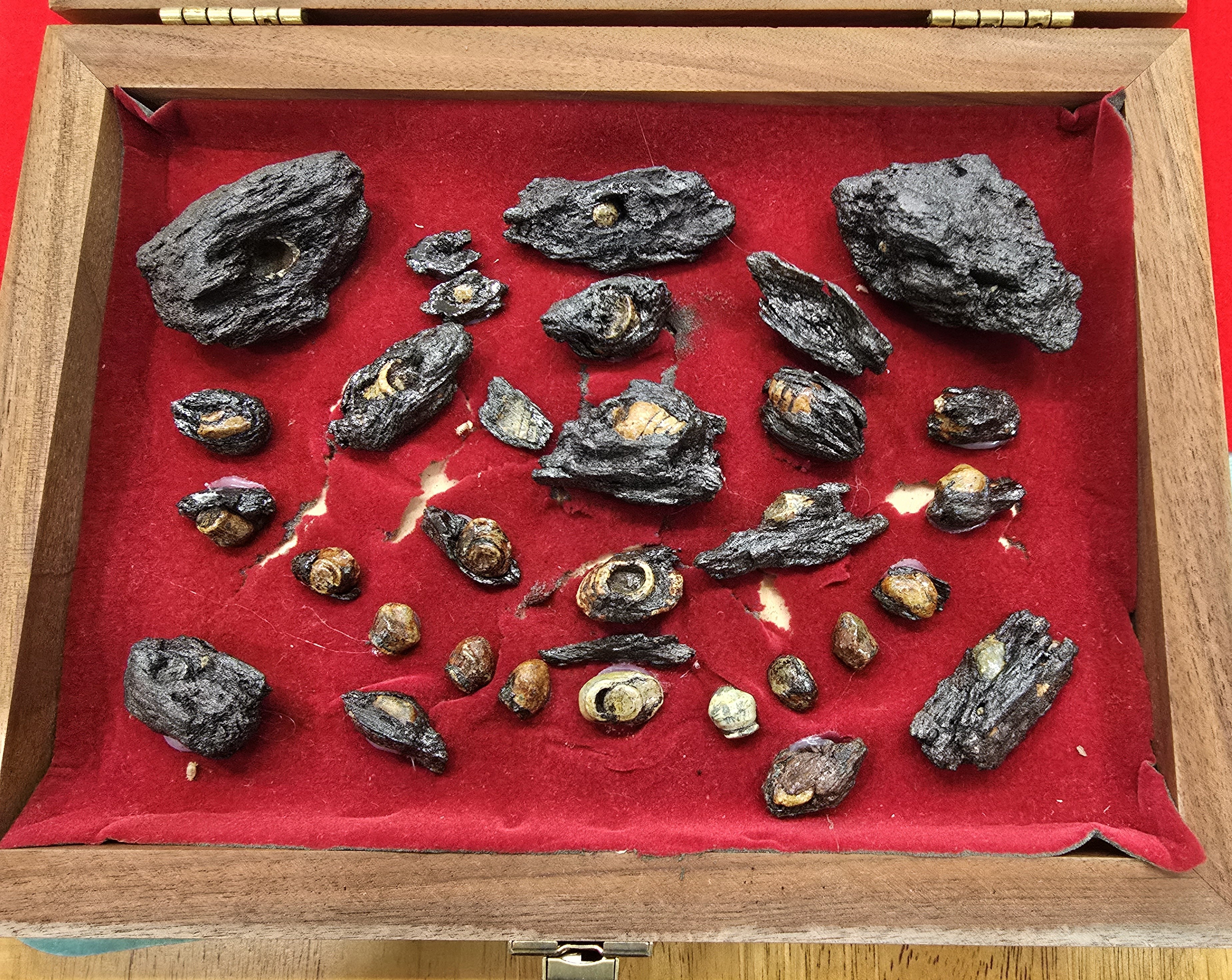 Click here to see the details of this item